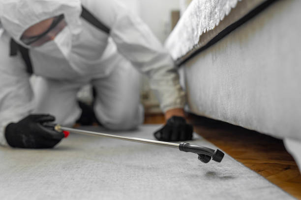 Professional Pest Control technician working in Wilson County County, NC